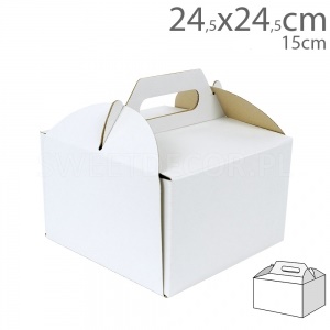 24x24x15 cake box