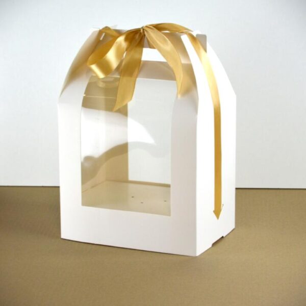 cakepop box