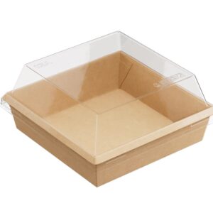 bento plastic 14 10