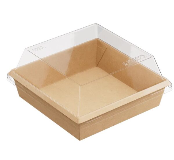 bento plastic 14 10