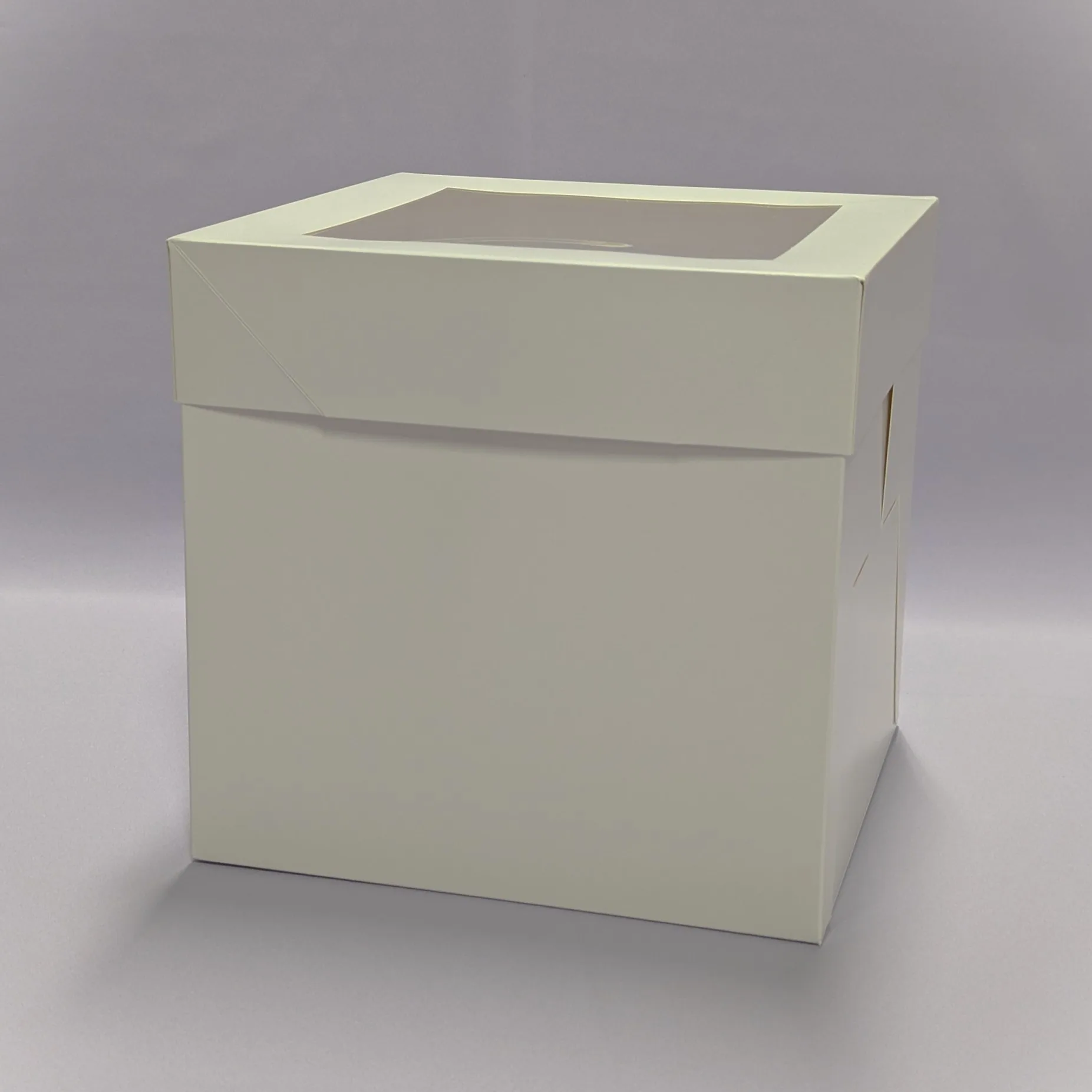 252525 cakebox white